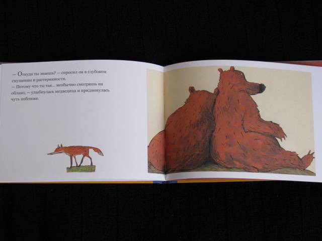 Иллюстрация 38 из 38 для Медвежье чудо - Вольф Эрльбрух | Лабиринт - книги. Источник: Nemertona