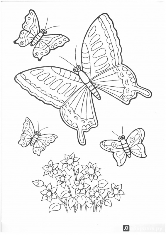 Иллюстрация 8 из 22 для Цветы и бабочки - Татьяна Коваль | Лабиринт - книги. Источник: Lechman@list.ru