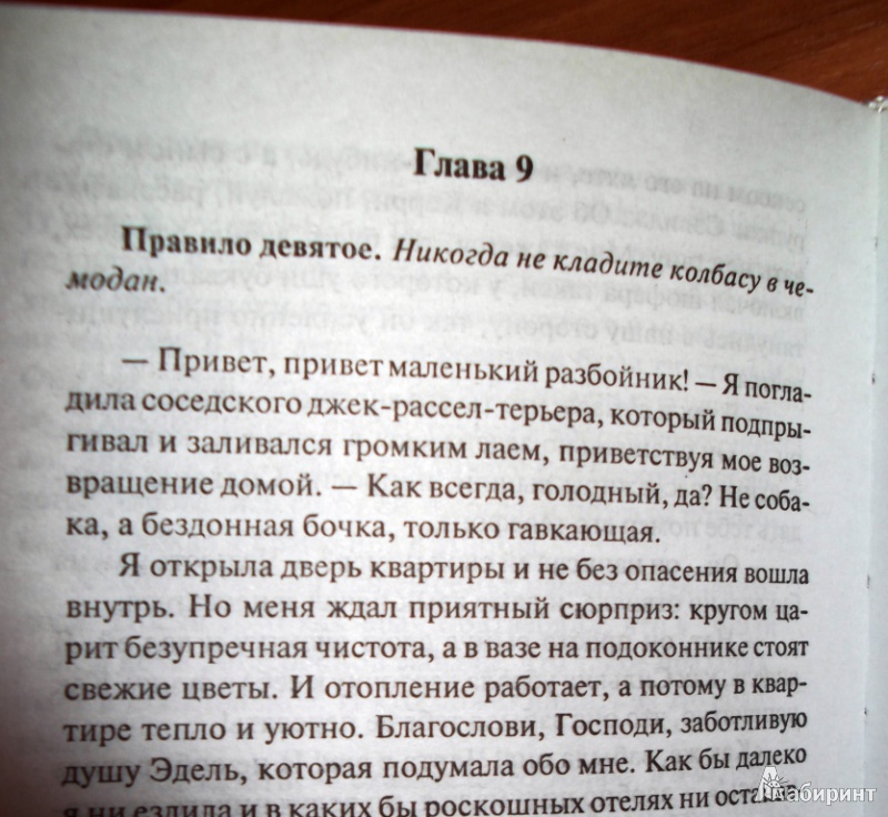 Иллюстрация 8 из 8 для Дневник стюардессы - Мариса Макл | Лабиринт - книги. Источник: Захарова  Ксения Валерьевна