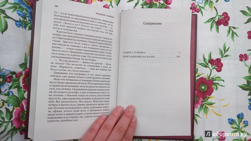 Иллюстрация 14 из 22 для Защита Лужина - Владимир Набоков | Лабиринт - книги. Источник: Ивашкина  Анна Андреевна