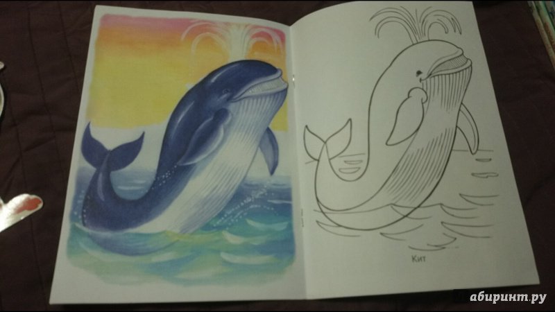 Иллюстрация 19 из 34 для Раскраска Жители морей | Лабиринт - книги. Источник: anka46