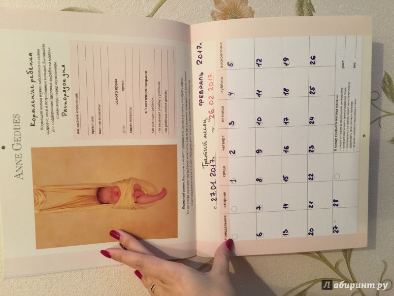 Иллюстрация 7 из 13 для Недатированный календарь "Мой первый год жизни" - Анне Геддес | Лабиринт - сувениры. Источник: Крис