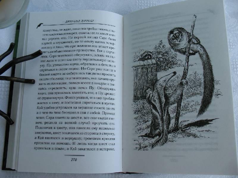 Иллюстрация 20 из 22 для Под пологом пьяного леса - Джеральд Даррелл | Лабиринт - книги. Источник: tayana