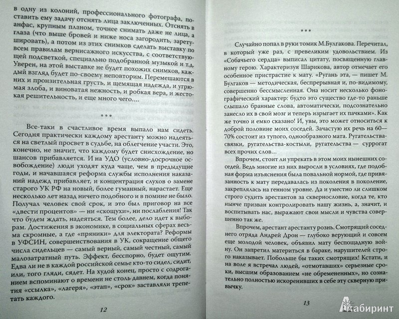 Иллюстрация 7 из 10 для Зона путинской эпохи - Борис Земцов | Лабиринт - книги. Источник: Леонид Сергеев