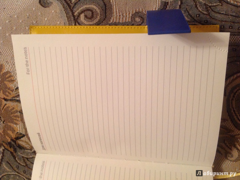 Иллюстрация 8 из 10 для Ежедневник недатированный "Do well" (желтый с синим, A5) (PF-5N155239-39) | Лабиринт - канцтовы. Источник: Непутевая мамашка
