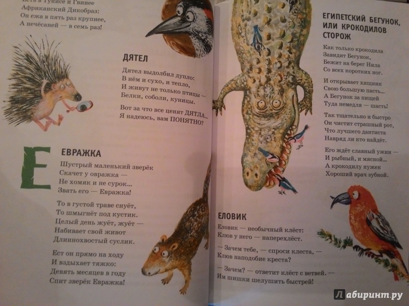 Иллюстрация 3 из 16 для Забавная зоология - Андрей Усачев | Лабиринт - книги. Источник: Юся31