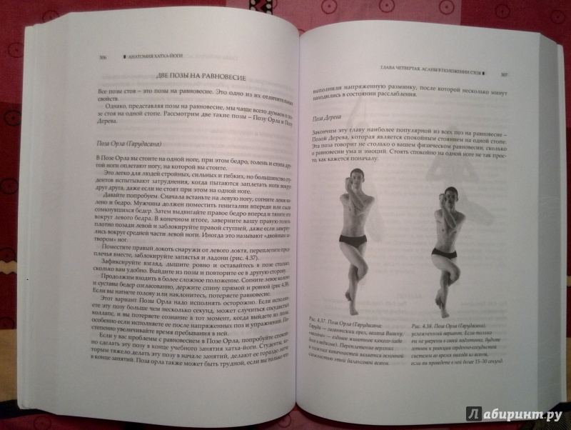 Иллюстрация 10 из 28 для Анатомия Хатха-йоги. Руководство для студентов, преподавателей и практикующих - Дэвид Коултер | Лабиринт - книги. Источник: Наталья П.