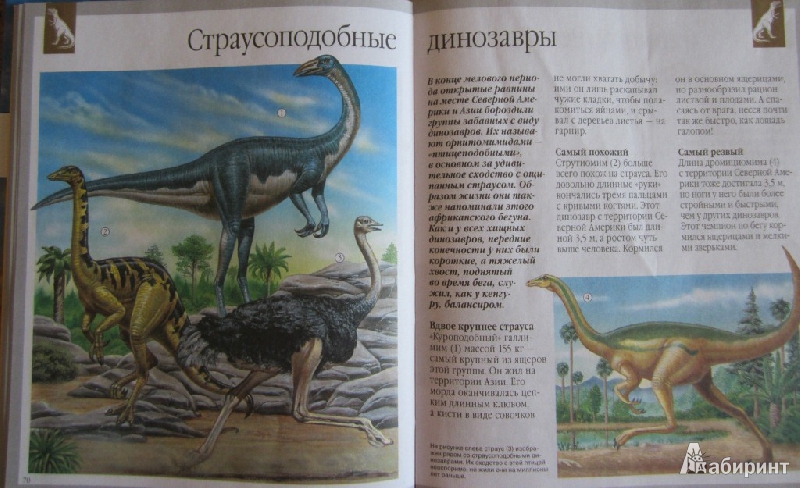 Иллюстрация 24 из 28 для Динозавры и другие исчезнувшие животные - Лора Камбурнак | Лабиринт - книги. Источник: ver-ira