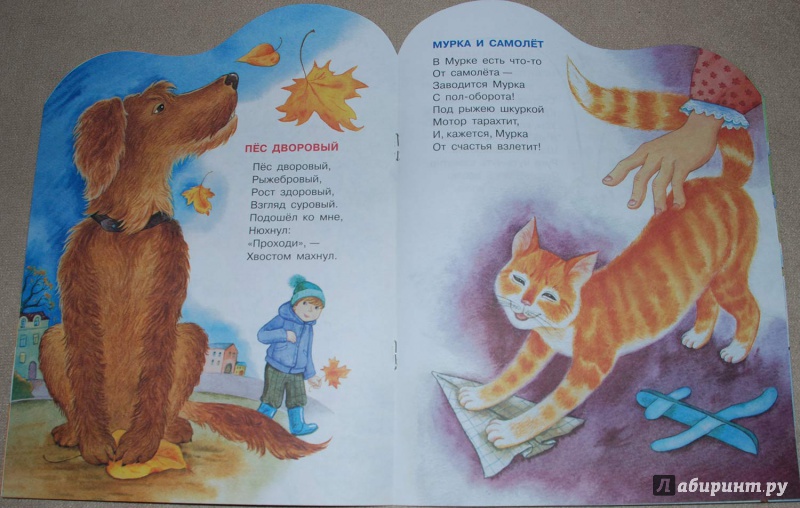 Иллюстрация 5 из 14 для Детки у наседки - Анастасия Орлова | Лабиринт - книги. Источник: Книжный кот