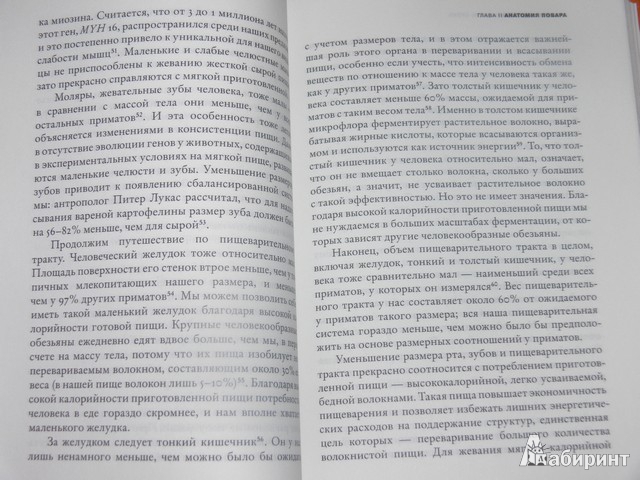 Иллюстрация 14 из 22 для Зажечь огонь: как кулинария сделала нас людьми - Ричард Рэнгем | Лабиринт - книги. Источник: Irbis