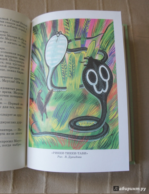 Иллюстрация 13 из 21 для Маугли - Редьярд Киплинг | Лабиринт - книги. Источник: Марфа Х.К.