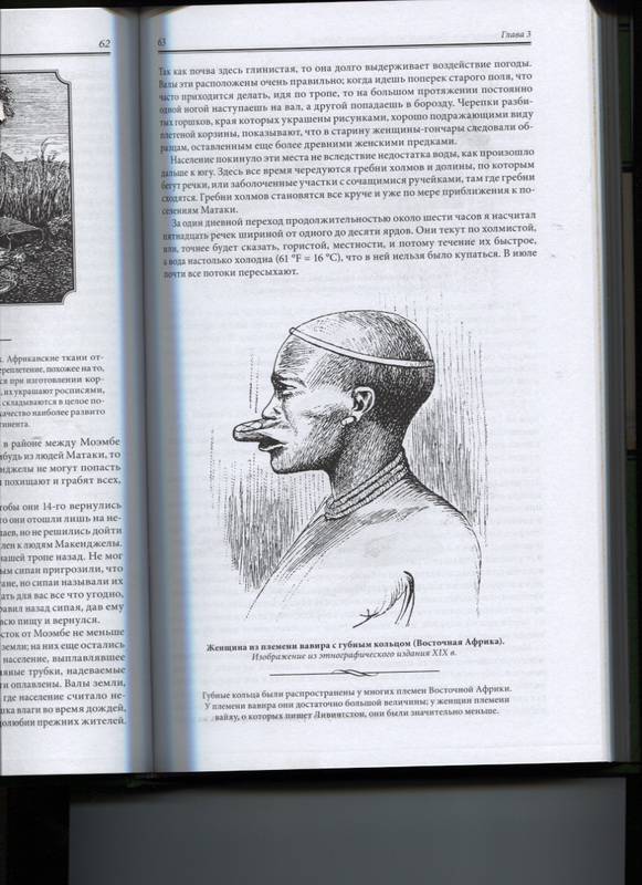 Иллюстрация 33 из 40 для Дневники исследователя Африки - Давид Ливингстон | Лабиринт - книги. Источник: Марфа Посадница