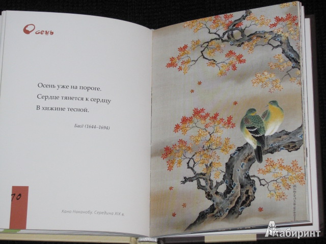 Иллюстрация 12 из 30 для Бабочки и хризантемы. Японская классическая поэзия IX-XIX веков | Лабиринт - книги. Источник: Nemertona