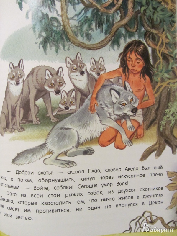 Иллюстрация 44 из 97 для Маугли - Редьярд Киплинг | Лабиринт - книги. Источник: Сандракова Юля