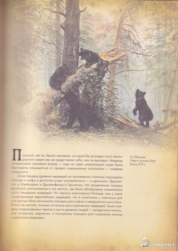 Иллюстрация 3 из 31 для Животные в мифологии - Андрей Гапченко | Лабиринт - книги. Источник: Ёжик