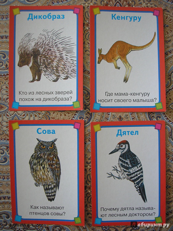 Иллюстрация 8 из 10 для Животные. Набор развивающих карточек | Лабиринт - книги. Источник: Nataykasheva