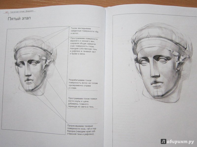 Иллюстрация 28 из 28 для Как рисовать голову человека и капитель. Пособие для поступающих в художественные вузы - Александр Рыжкин | Лабиринт - книги. Источник: Кулыгина  Елена