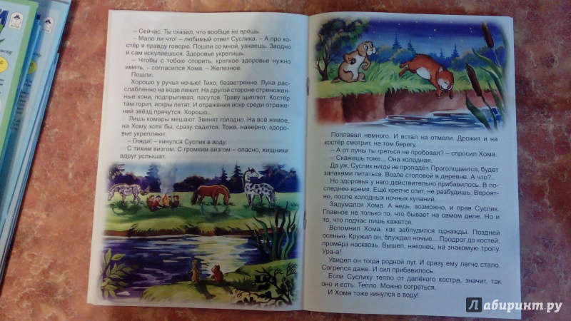 Иллюстрация 6 из 24 для Как Хома Золотую рыбку поймал - Альберт Иванов | Лабиринт - книги. Источник: Косова  Мария