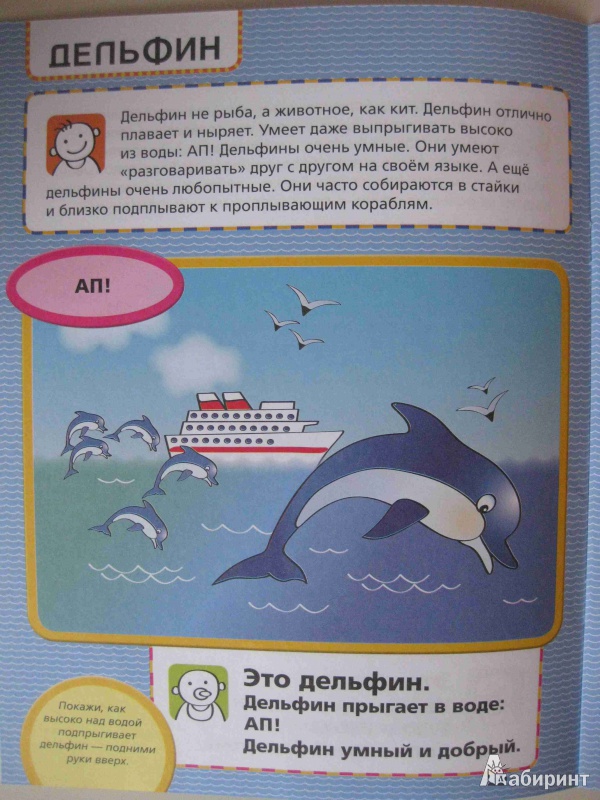 Иллюстрация 15 из 17 для Подводный мир и маленький мир - Елена Янушко | Лабиринт - книги. Источник: olga12121