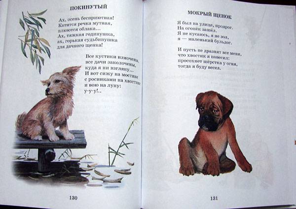 Иллюстрация 13 из 37 для Сказки, стихи, рассказы о животных | Лабиринт - книги. Источник: syaochka