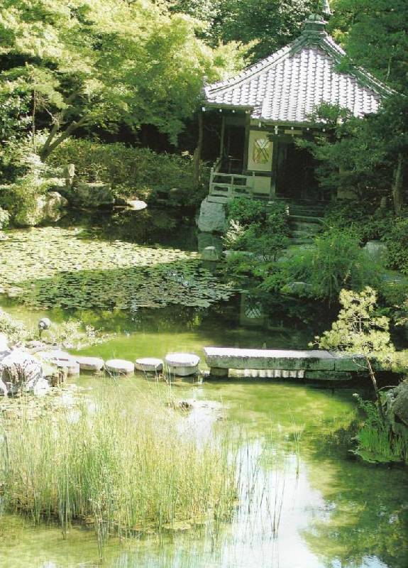Иллюстрация 4 из 30 для Японский сад - Артем Паршин | Лабиринт - книги. Источник: Zhanna