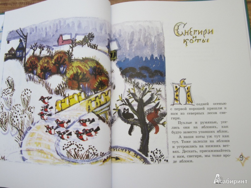 Иллюстрация 33 из 46 для Заячьи тропы - Юрий Коваль | Лабиринт - книги. Источник: ЮлияО