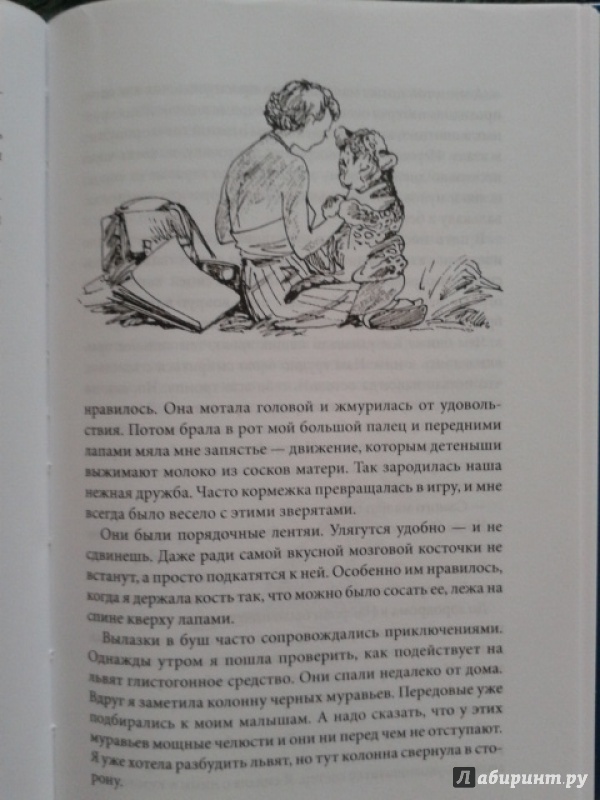 Иллюстрация 17 из 41 для Рожденная свободной - Джой Адамсон | Лабиринт - книги. Источник: Осадчук  Елена