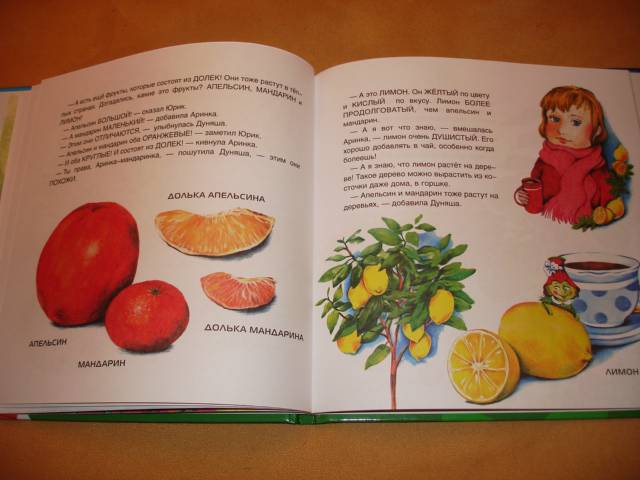 Иллюстрация 13 из 23 для Фрукты, овощи и гусеница Дуняша - Татьяна Рик | Лабиринт - книги. Источник: Осьминожка