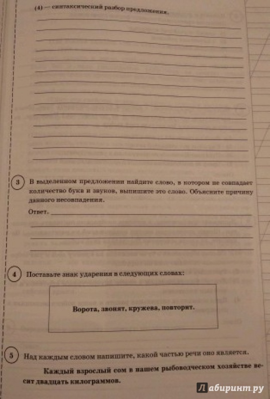 Иллюстрация 4 из 11 для ВПР. Русский язык. 6 класс. 10 вариантов. Типовые задания. ФГОС - Андрей Кузнецов | Лабиринт - книги. Источник: Valery R