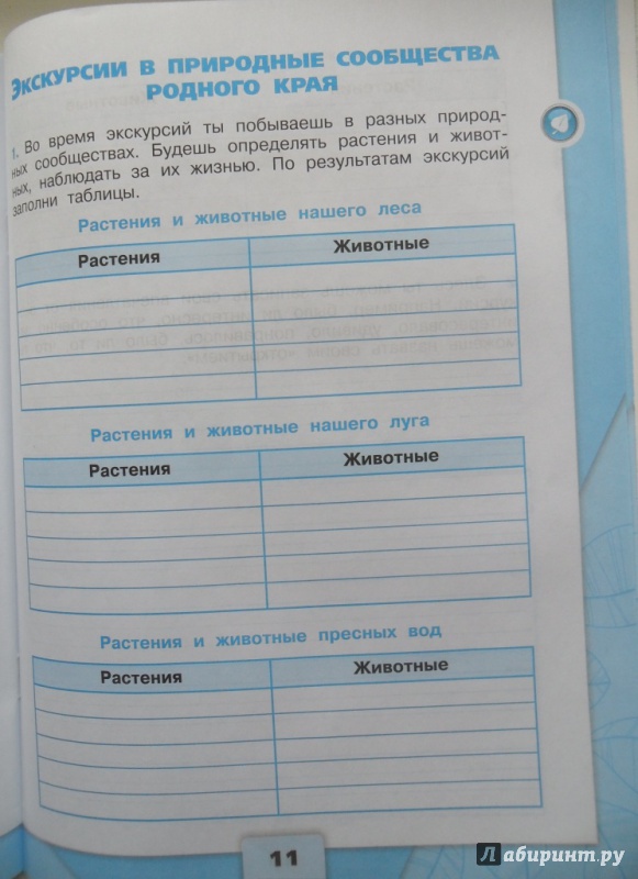 Окружающий мир научный дневник 2. Научный дневник. Научный дневник окружающей мир. Окружающий мир научный дневник. Научный дневник Плешаков.