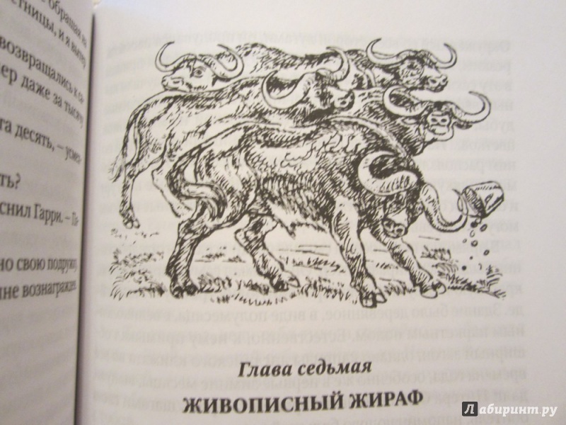 Иллюстрация 10 из 48 для Только звери - Джеральд Даррелл | Лабиринт - книги. Источник: ЮлияО
