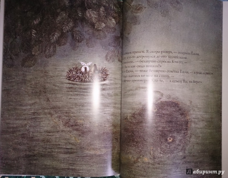 Иллюстрация 25 из 83 для Ежик в тумане - Козлов, Норштейн | Лабиринт - книги. Источник: Solen