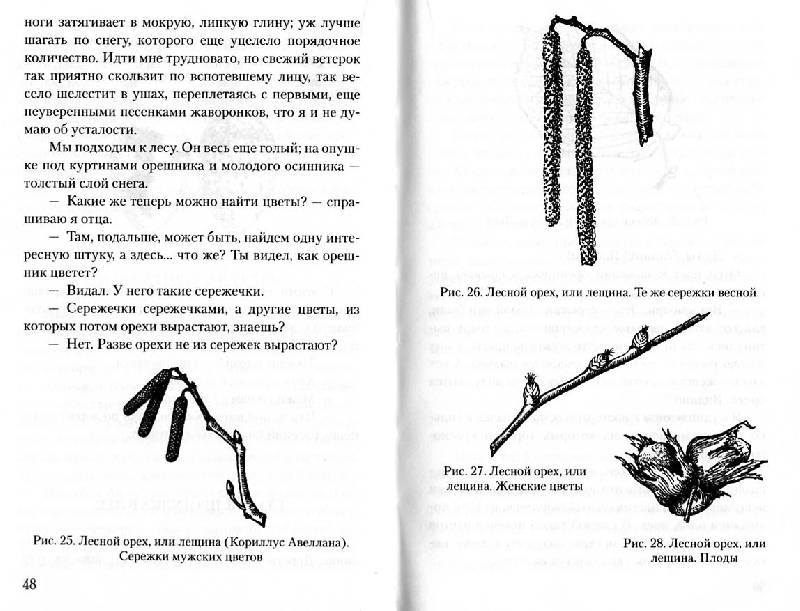 Иллюстрация 17 из 25 для Занимательная ботаника - Александр Цингер | Лабиринт - книги. Источник: Росинка