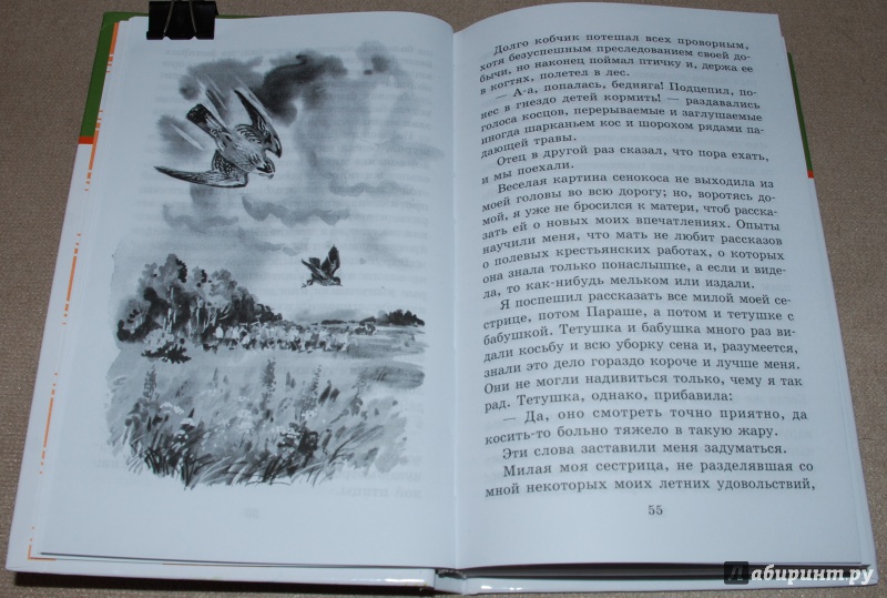 Иллюстрация 12 из 28 для Рассказы о природе - Сергей Аксаков | Лабиринт - книги. Источник: Книжный кот