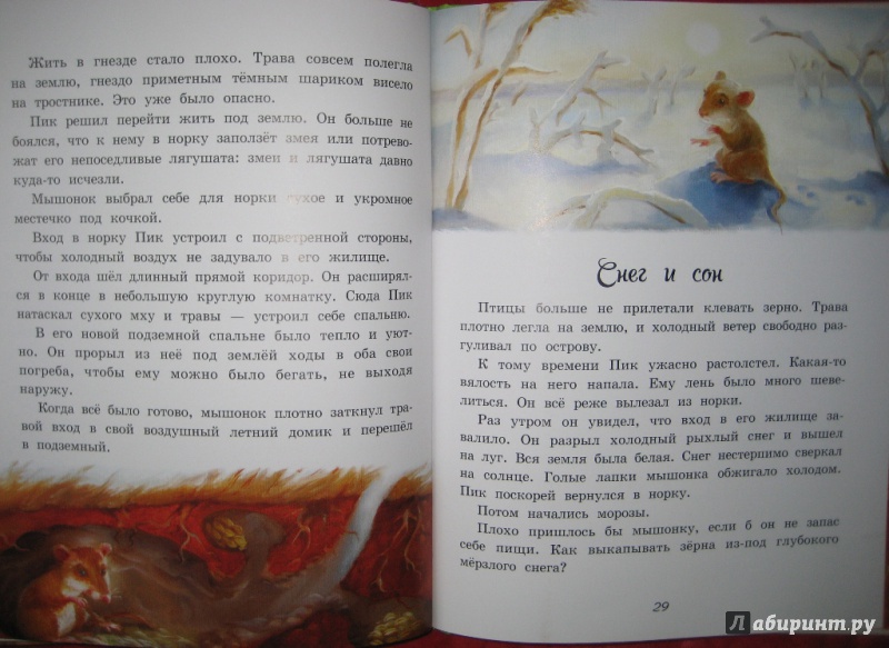Иллюстрация 9 из 19 для Мышонок Пик - Виталий Бианки | Лабиринт - книги. Источник: Макарова  Елена