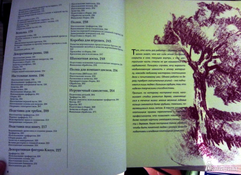 Иллюстрация 5 из 15 для Работы по дереву. Иллюстрированная энциклопедия | Лабиринт - книги. Источник: Alien