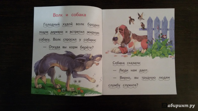 Иллюстрация 3 из 24 для Волк и собака - Лев Толстой | Лабиринт - книги. Источник: Лабиринт