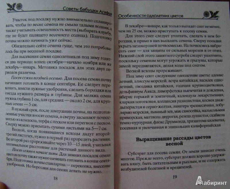 Иллюстрация 9 из 11 для Однолетние цветы дивной красоты. Выращивание, размножение, уход - Агафья Звонарева | Лабиринт - книги. Источник: Easy