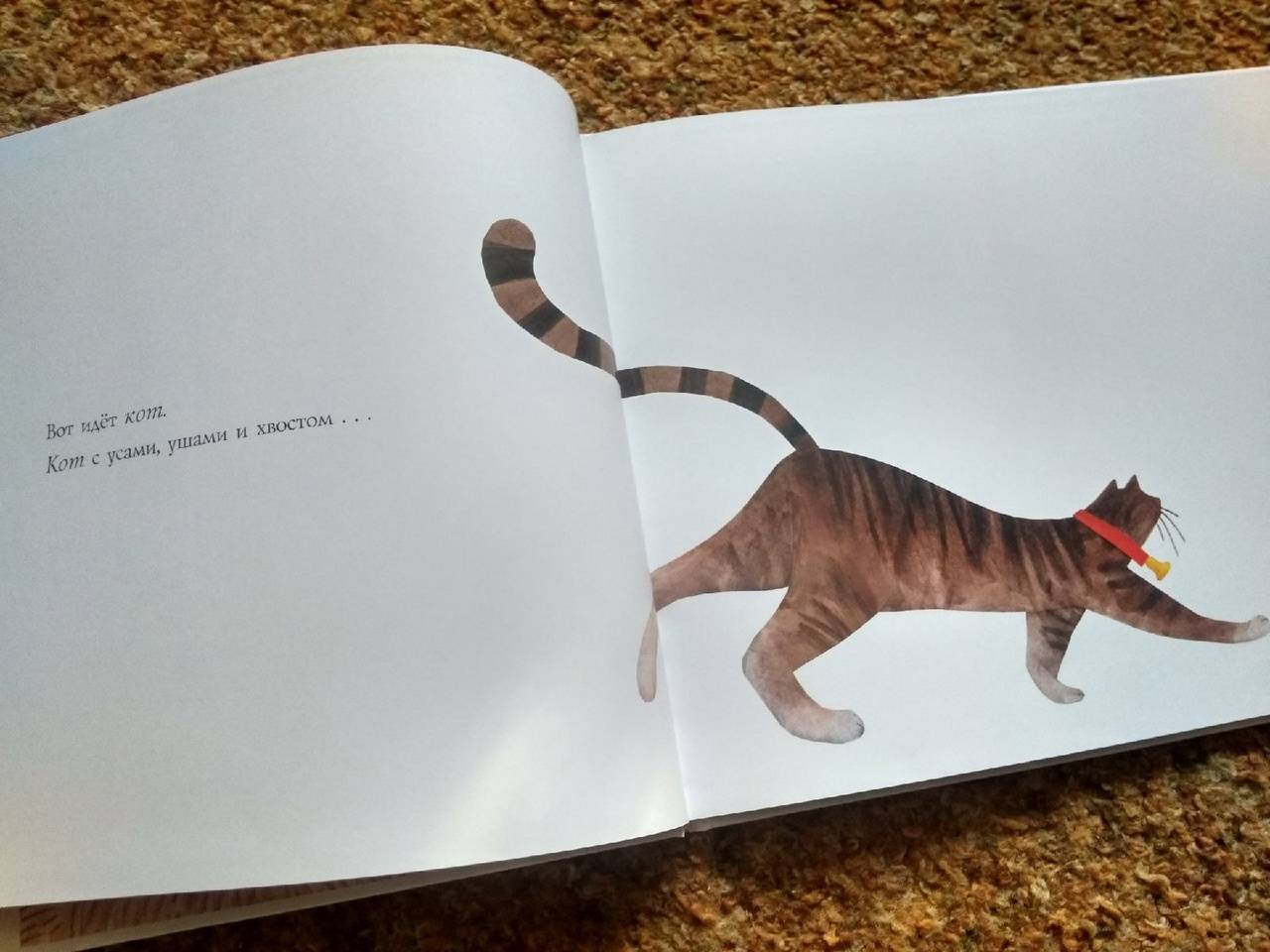 Иллюстрация 33 из 44 для Все видели кота - Брендан Венцель | Лабиринт - книги. Источник: Исмайылова Марина