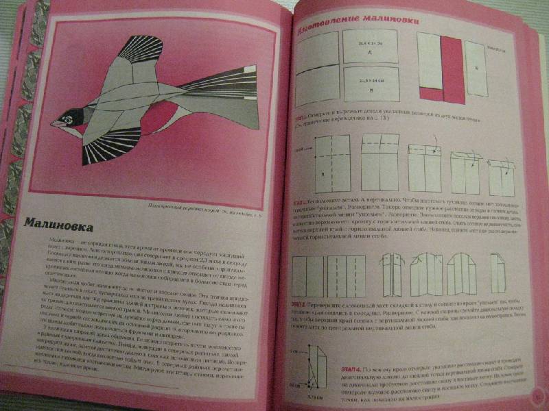 Иллюстрация 33 из 36 для Птицы из бумаги - Норман Шмидт | Лабиринт - книги. Источник: Elate