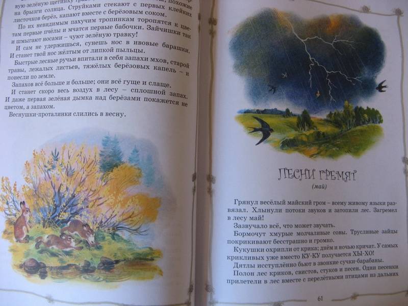 Иллюстрация 21 из 31 для Хрестоматия для начальной школы (от 7 до 9 лет) | Лабиринт - книги. Источник: Осень-рыжая подружка.