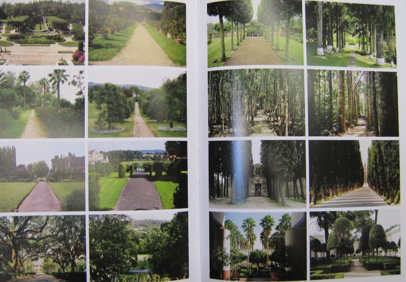 Иллюстрация 6 из 10 для 1000 идей для сада - Стэффорд Клифф | Лабиринт - книги. Источник: Спанч Боб