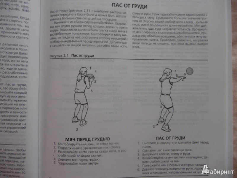 Иллюстрация 9 из 15 для Баскетбол: шаги к успеху - Хол Виссел | Лабиринт - книги. Источник: Anyta23