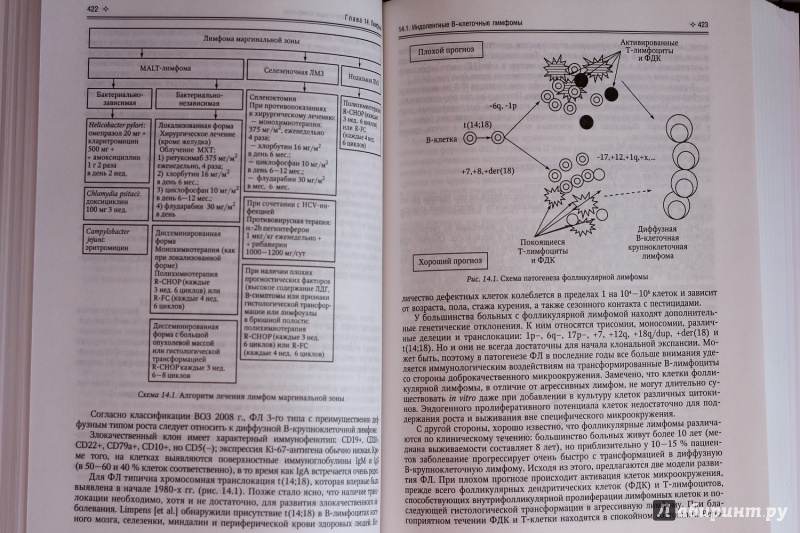 Иллюстрация 11 из 54 для Гематология. Руководство для врачей - Мамаев, Михайлова, Афанасьев | Лабиринт - книги. Источник: x rabid bitch x