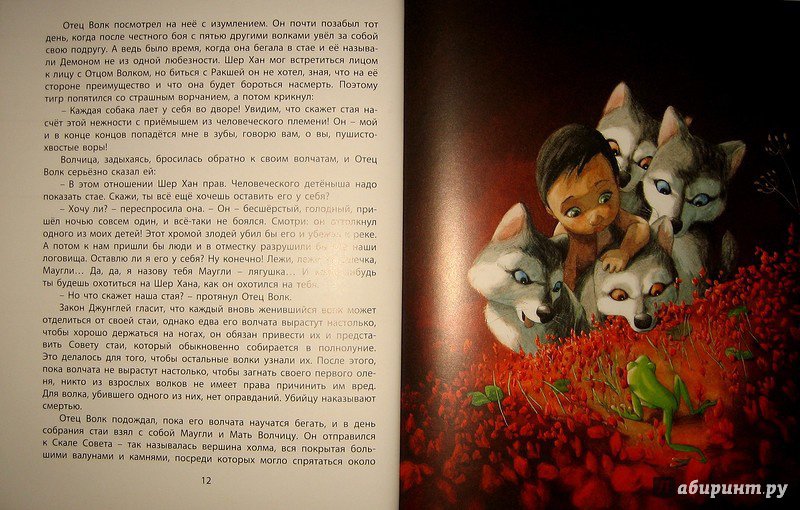 Иллюстрация 62 из 116 для Книга Джунглей - Редьярд Киплинг | Лабиринт - книги. Источник: Трухина Ирина