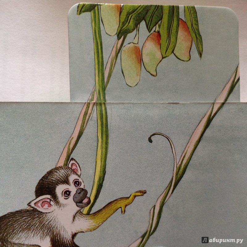 Иллюстрация 21 из 48 для Что у мишки на обед? - Юлия Шигарова | Лабиринт - книги. Источник: Sage Tea