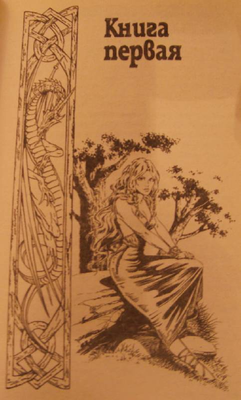 Иллюстрация 2 из 9 для Драконы Весеннего Рассвета (10) - Уэйс, Хикмэн | Лабиринт - книги. Источник: Olla-la