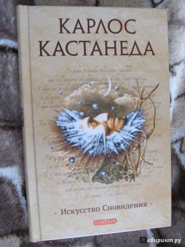 Иллюстрация 24 из 25 для Искусство сновидения - Карлос Кастанеда | Лабиринт - книги. Источник: Журавлева  Анастасия Сергеевна