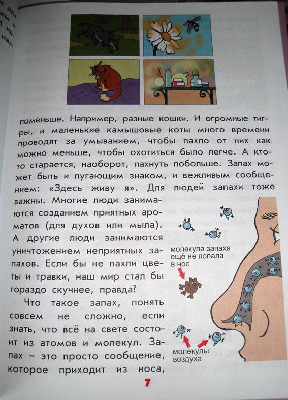 Иллюстрация 29 из 45 для Настоящая физика для мальчиков и девочек - Антонина Лукьянова | Лабиринт - книги. Источник: АннаЛ