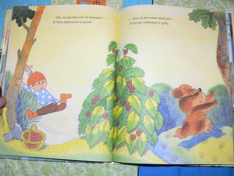 Иллюстрация 49 из 73 для Петя и медвежонок Потап - Виктор Чижиков | Лабиринт - книги. Источник: Irbis